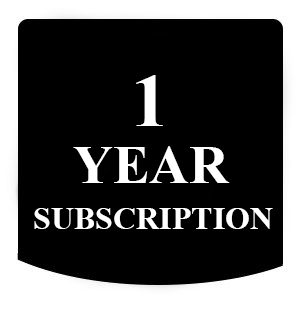 12 months seo subscription