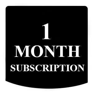 1 month seo subscription