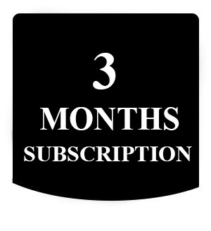 3 months seo subscription