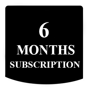 6 months seo subscription
